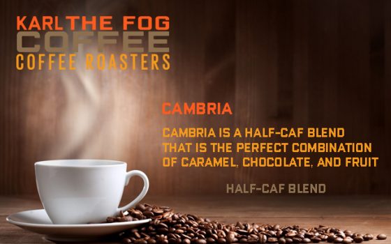Teddy Graham Latte: The Ultimate Comfort In a Mug 5 Cambria Half-Caf