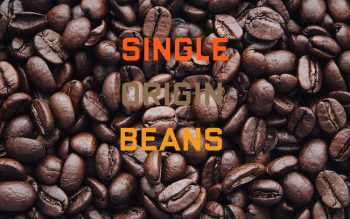 Single-Origin