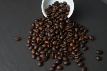 Karl the Fog Coffee - SF Roasted Coffee Beans